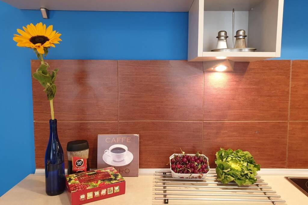 The Quiet Blue Home In The City Center! Cracóvia Exterior foto